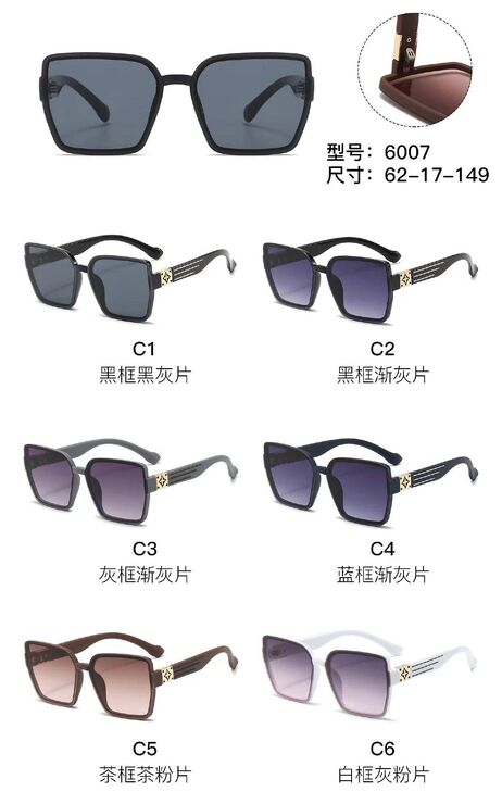PC plastic sunglasses with metal hinge 6007W