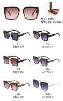 PC plastic sunglasses with metal hinge 6025W