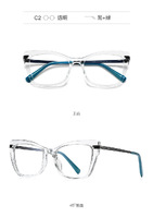 Plastic frames for glasses TR90+CA material (flex hinges) FOCUS FCS2065