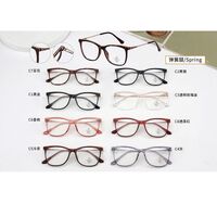 Оправа комбинированная (металл + TR90) с линзами Blue Ray Cut MAMO TR9105