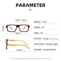 Plastic frame with anti-blue light protection lenses, with spring hinges Elit 5743-EL