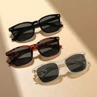Plastic sunglasses KY8082太阳镜