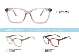 Plastic acetate eyeglasses frame with spring hinges WD1651