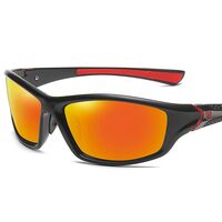 Polarized plastic sunglasses with UV400 protection D120-GT