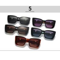 Пластиковые солнцезащитные очки в форме 