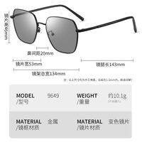 Photochromic glasses with blue light and UV protection 9651-GT