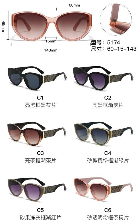 PC plastic sunglasses with metal hinge 5174W