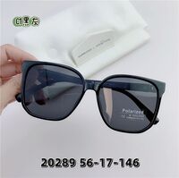 TR90 plastic polarized sunglasses SANTA 20289S