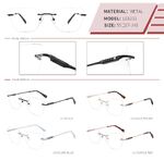 Оправа металлическая безободковая на винтах женская с флексом LE6211-DA