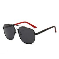 Polarized metal sunglasses with UV400 protection 2924-GT