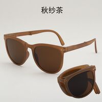 Folding plastic sunglasses with UV protection 2526