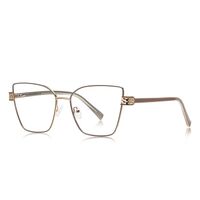 Metal Blue Blocker frames for glasses More FCS3139