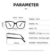 Plastic frame with anti-blue light protection lenses, with spring hinges Elit 5731-EL
