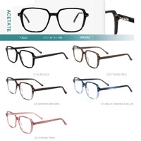 Acetate plastic frames for glasses with spring hinges Big City F3023