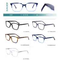 Acetate plastic frames for glasses with spring hinges Big City F3033