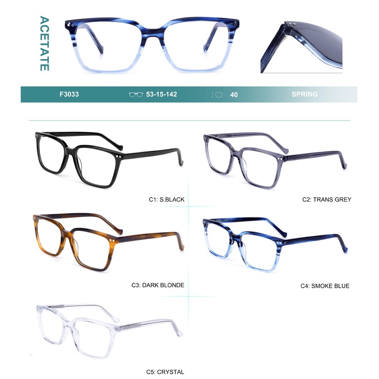 Acetate plastic frames for glasses with spring hinges Big City F3033