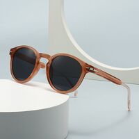 Пластиковые солнцезащитные очки в стиле ретро Elit 1111-EL