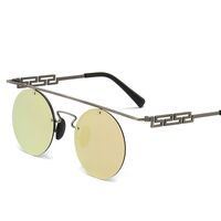 Polarized metal sunglasses with UV400 protection 2952-GT