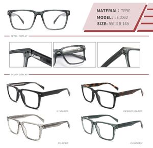 Plastic TR90 frame with spring hinges LE1062-DA