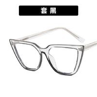 Очки пластиковые женские с защитой от синего света 4007-5011-PN