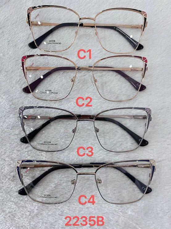 Metal frame for glasses with spring hinges 2235B