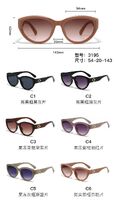 PC plastic sunglasses with plastic hinge 3195W