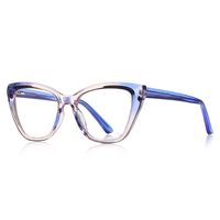 Plastic TR90 frames for glasses with Blue Ray Cut protection and flex hinges FOCUS FCS2148