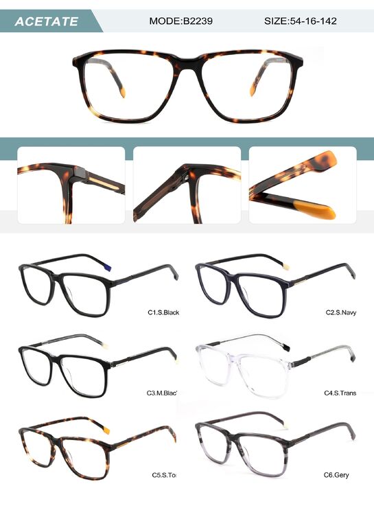 Plastic acetate frame for men with spring hinges B2239-DA