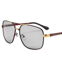 Photochromic glasses with blue light and UV protection 2873-GT