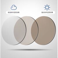 Photochromic glasses with blue light and UV protection 9657-GT