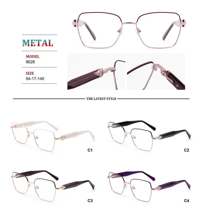 Metal frames for glasses with spring hinges Big City RD9028