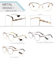 Metal frames for glasses Big City 9003A22-1