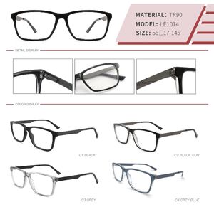 Plastic TR90 frame with spring hinges LE1074-DA