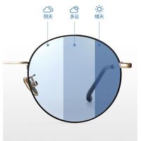 Photochromic glasses with blue light and UV protection 9620-2-GT