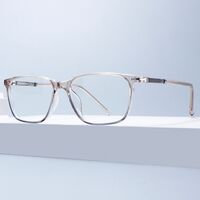 Combined TR90 + metal frame with anti-blue light protection lenses Elit TR1609-EL