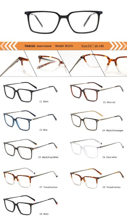 Plastic acetate frame for men with spring hinges B2215-DA