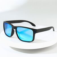 Polarized plastic TR90 sunglasses with UV400 protection 2973-GT
