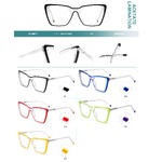 Plastic frames for glasses, acetate lamination with spring hinges Big City CL9011