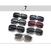 Plastic sunglasses Elit LH119-EL