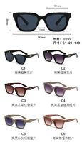 PC plastic sunglasses with plastic hinge 3200W