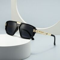 Plastic sunglasses for men Elit LH120-EL