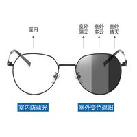 Photochromic glasses with blue light and UV protection 9652-GT