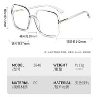 Очки пластиковые фотохромные с защитой от синего света 2848-GT