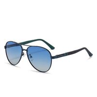 Photochromic glasses with blue light and UV protection 2956-GT