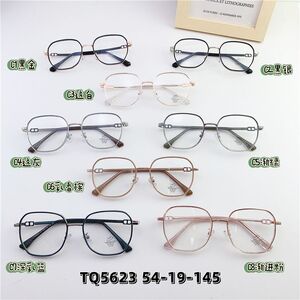 Hybrid metal + TR90 frame, with Blue Block coating SANTA TQ5623