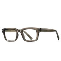 Plastic TR90 frames for glasses with Blue Ray Cut protection FOCUS FCS2189