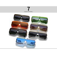 Plastic retro sunglasses Elit LH175-EL