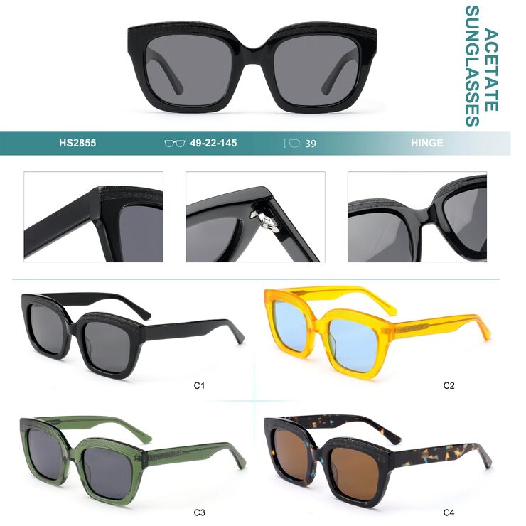 Polarized acetate plastic sunglasses Big City HS2855