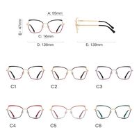 Metal Blue Blocker frames for glasses MORE FCS3110