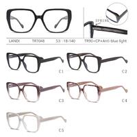 Protective plastic TR90+CP glasses with anti-blue light lenses with spring hinges Landi LD-TR7048